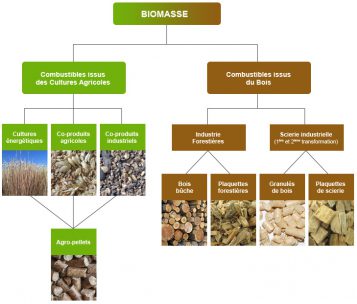 schema-biomasse